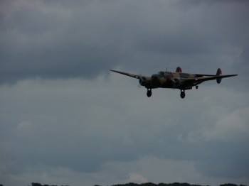 photo46
